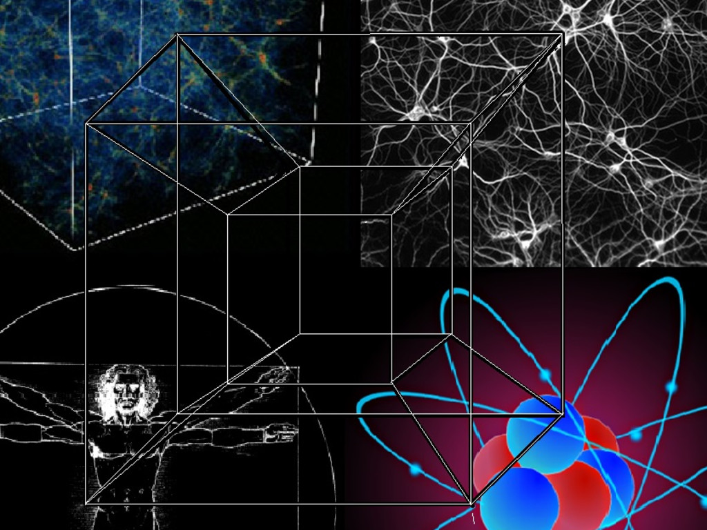 The Evolutionary Imperative Of Consciousness Indiegogo