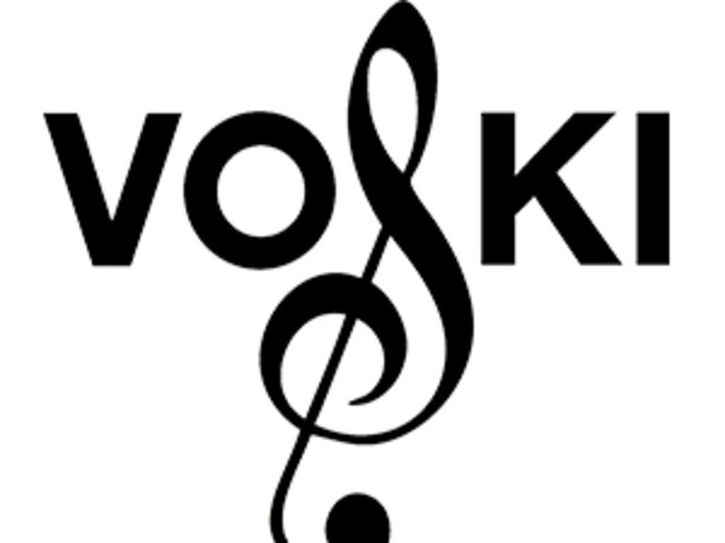 Voski Music Group Funding | Indiegogo