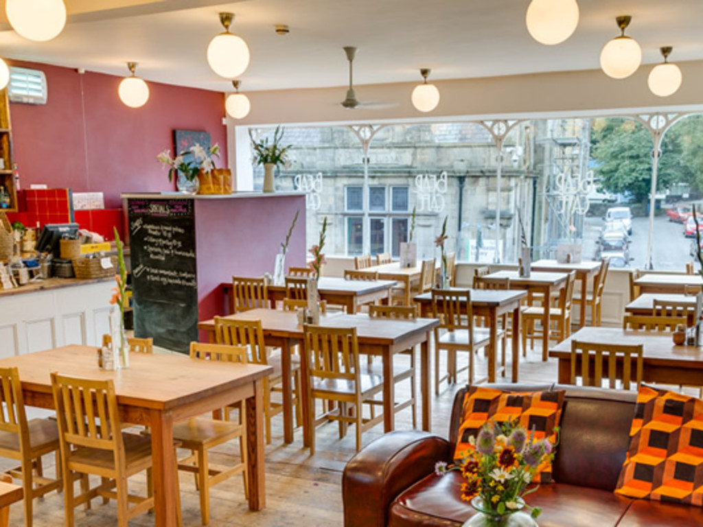 Safe Haven Cafe Indiegogo