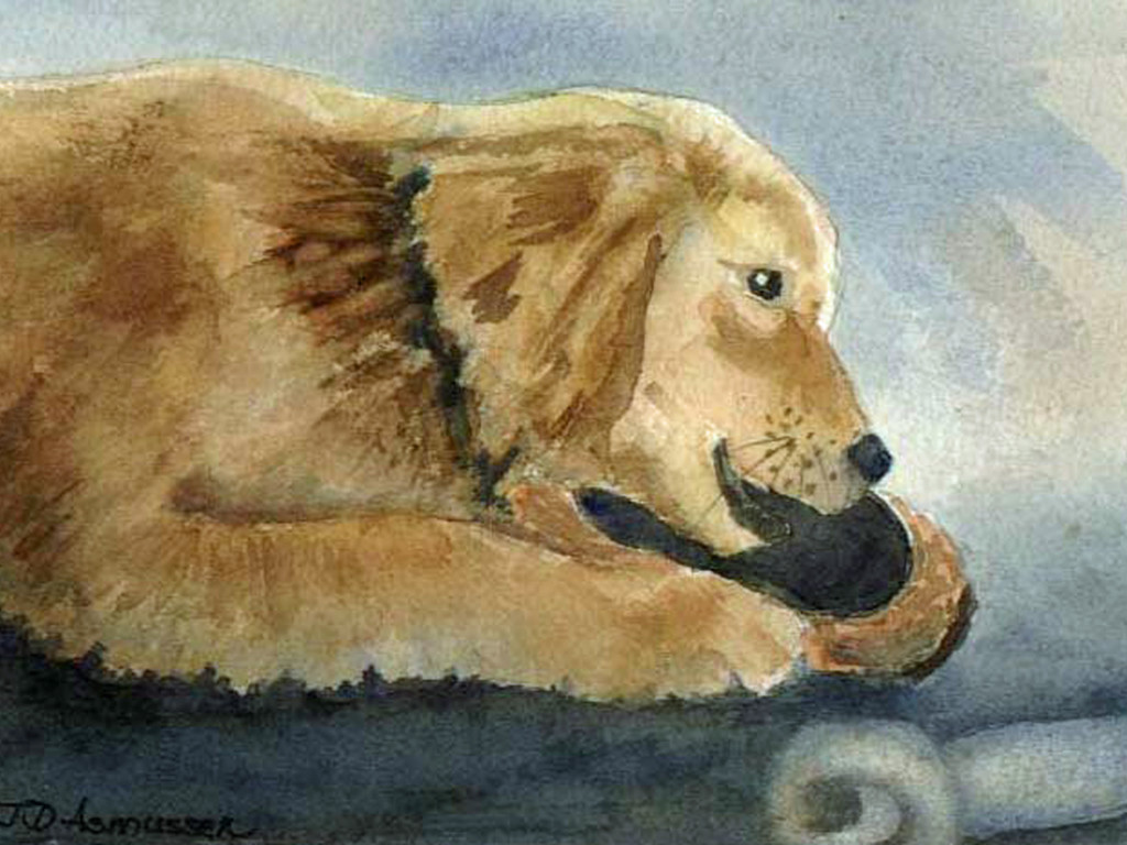 Animal poetry anthology to benefit horse rescue Indiegogo