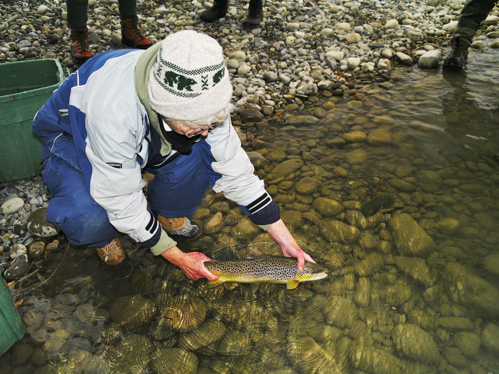 Fish Rescue! Indiegogo