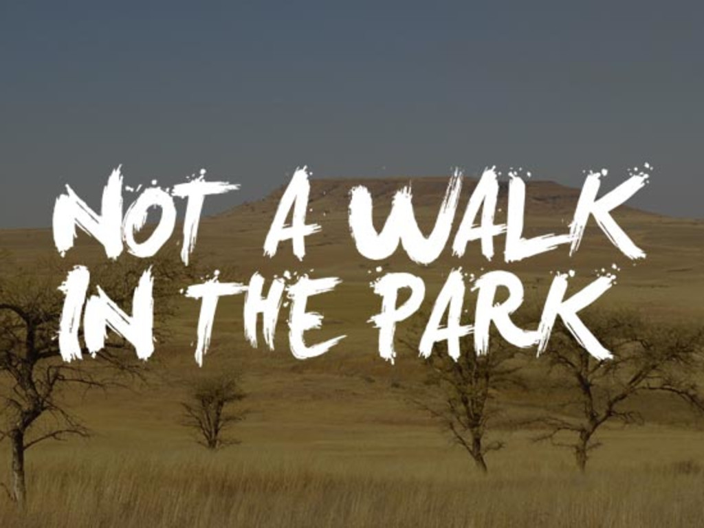 Not A Walk In The Park | Indiegogo