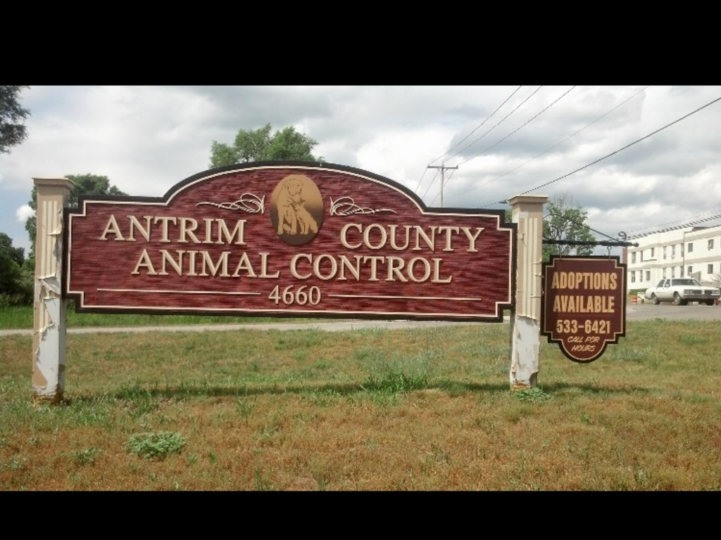 Antrim County Animal Shelter Indiegogo