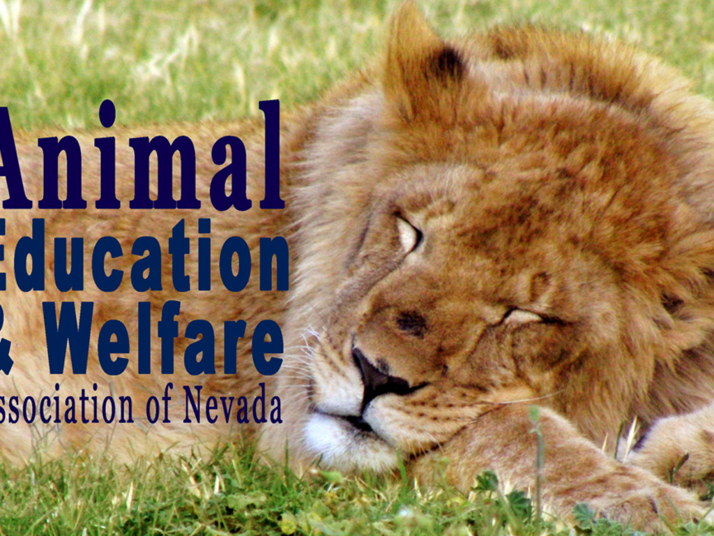Animal Education & Welfare Association of Nevada Indiegogo