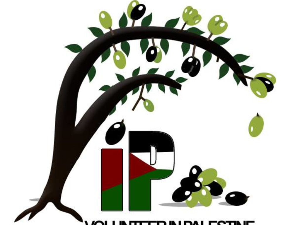 Plant an olive tree in Palestine Indiegogo