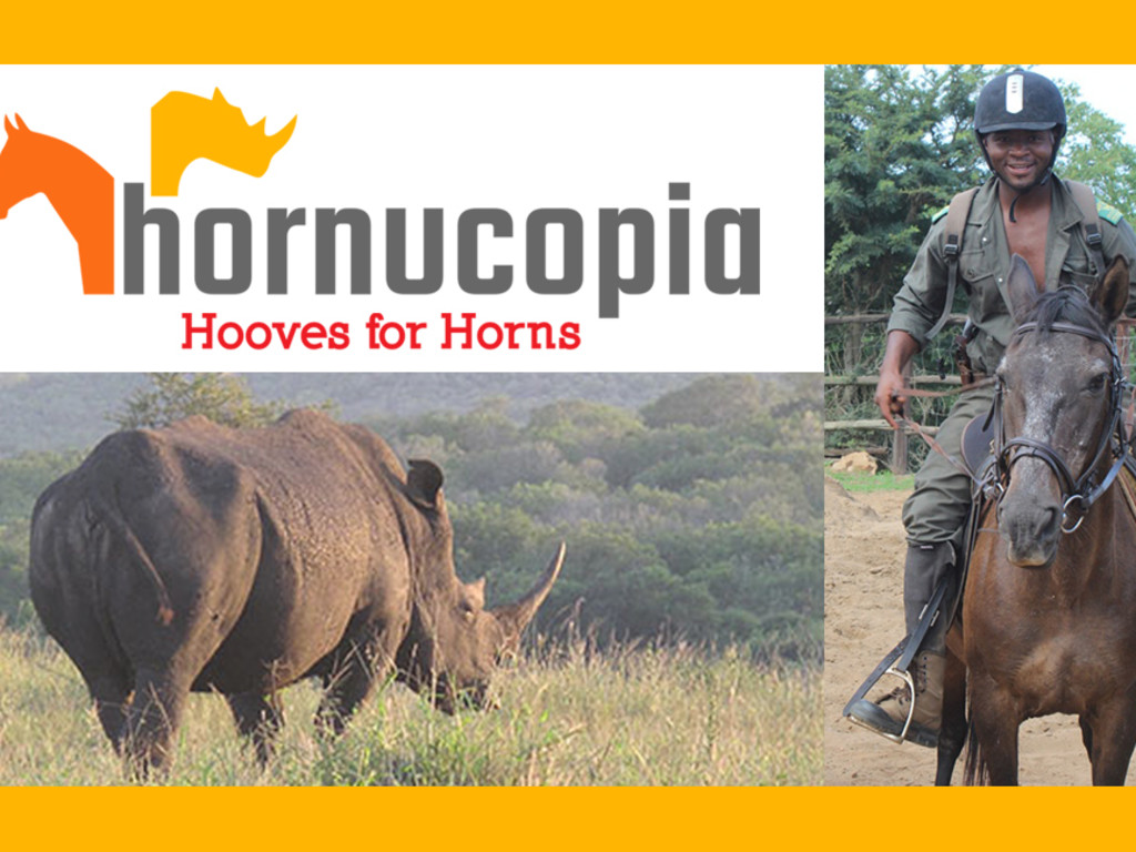 Rhinos & Horses Indiegogo