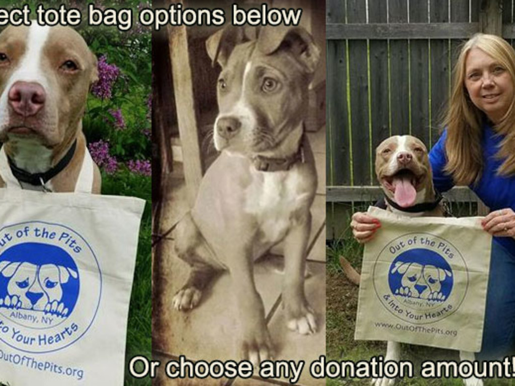 Tote Bag to Benefit Out of the Pits Dog Rescue | Indiegogo