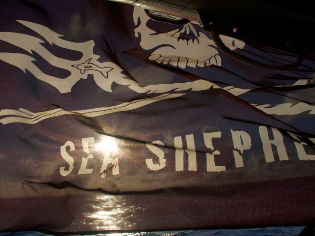 Sea Shepherd Panama Ocean Wildlife Defense | Indiegogo