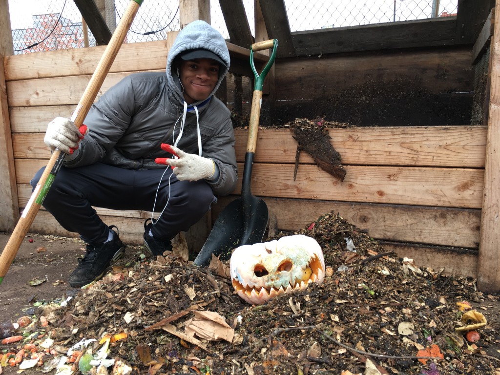 Support BK ROT Youthpowered composting! Indiegogo