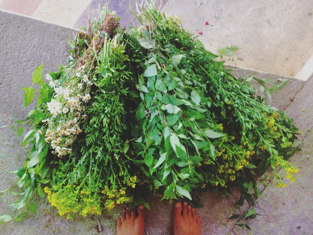 holistic medicine in mexico