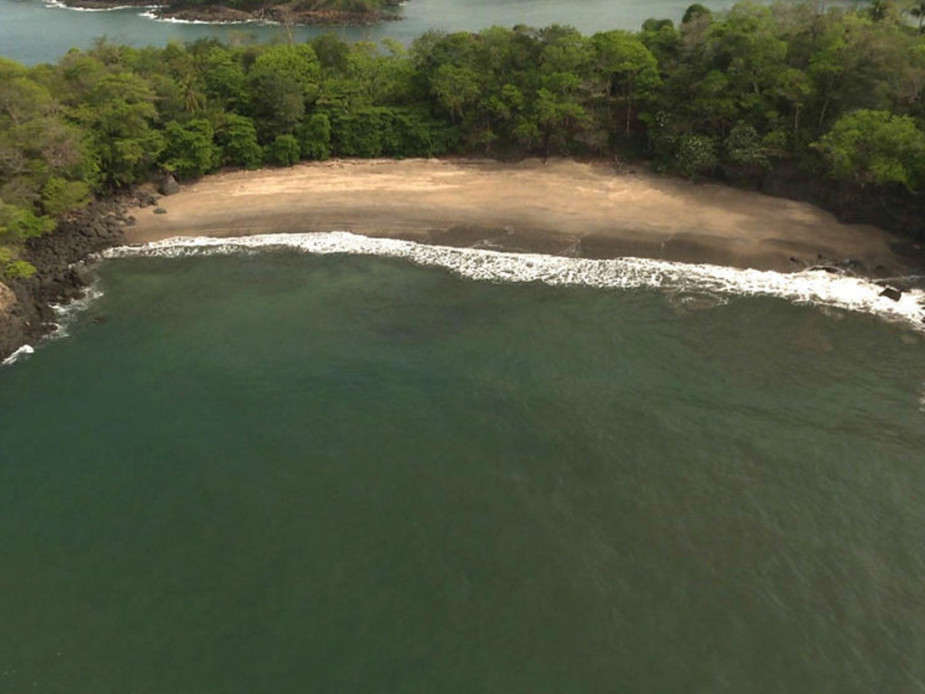 Buy an island and make a country called kekistan Indiegogo