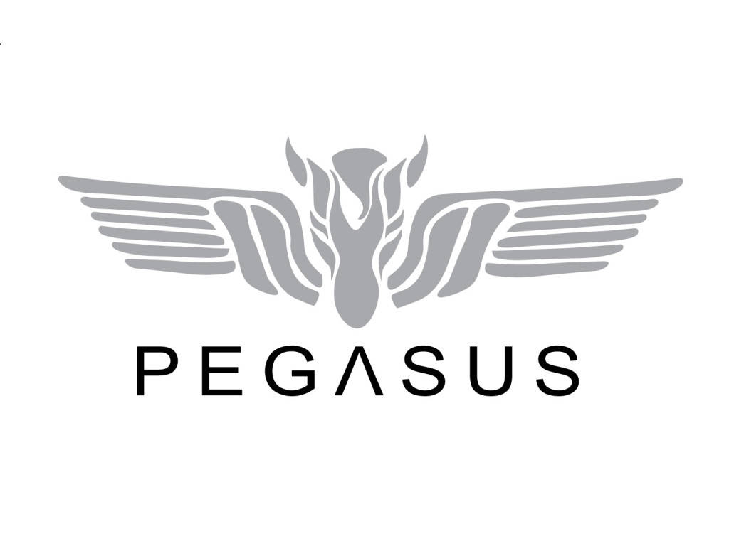 Help Pegasus get to the World Finals | Indiegogo