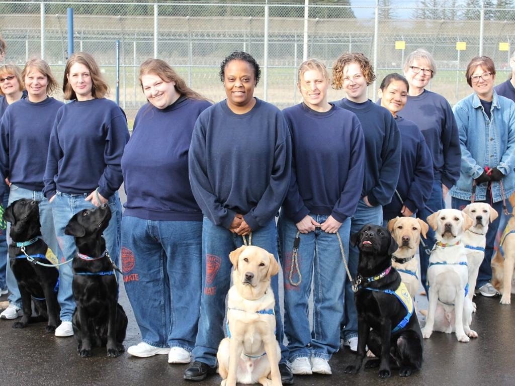 Coffee Creek Puppy Program Yard Project Indiegogo