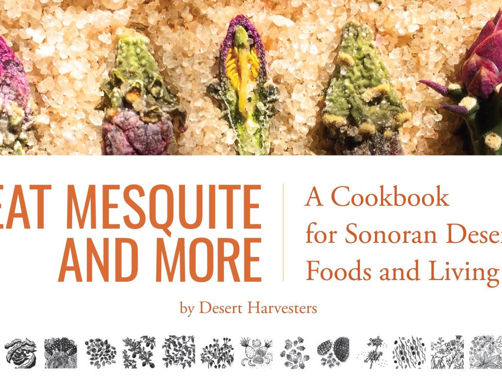 Help Desert Harvesters print this cookbook! Indiegogo
