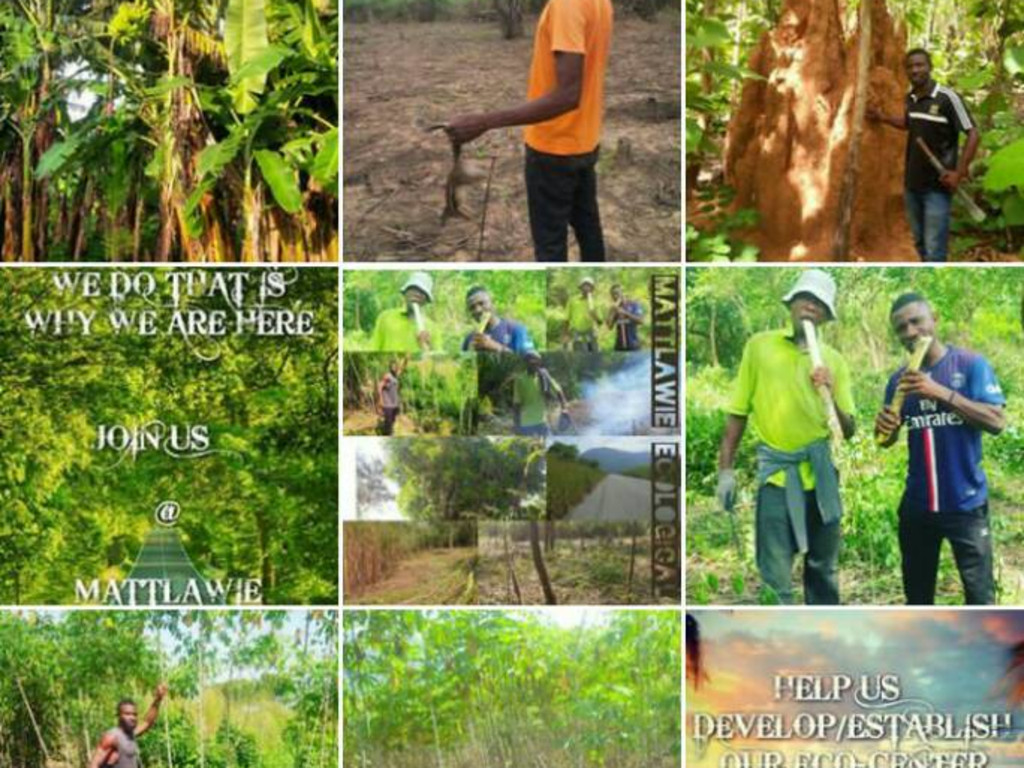 Help Us Establish Our Eco-Center | Indiegogo