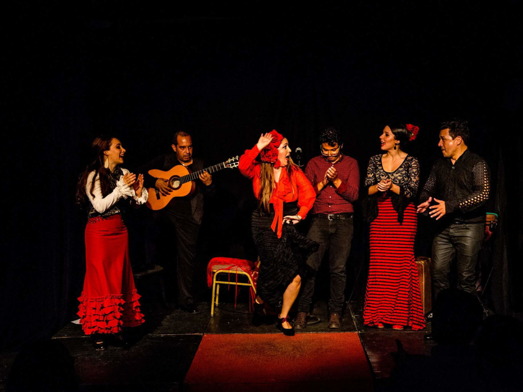 Puerto Rican Flamenco Exhange | Indiegogo