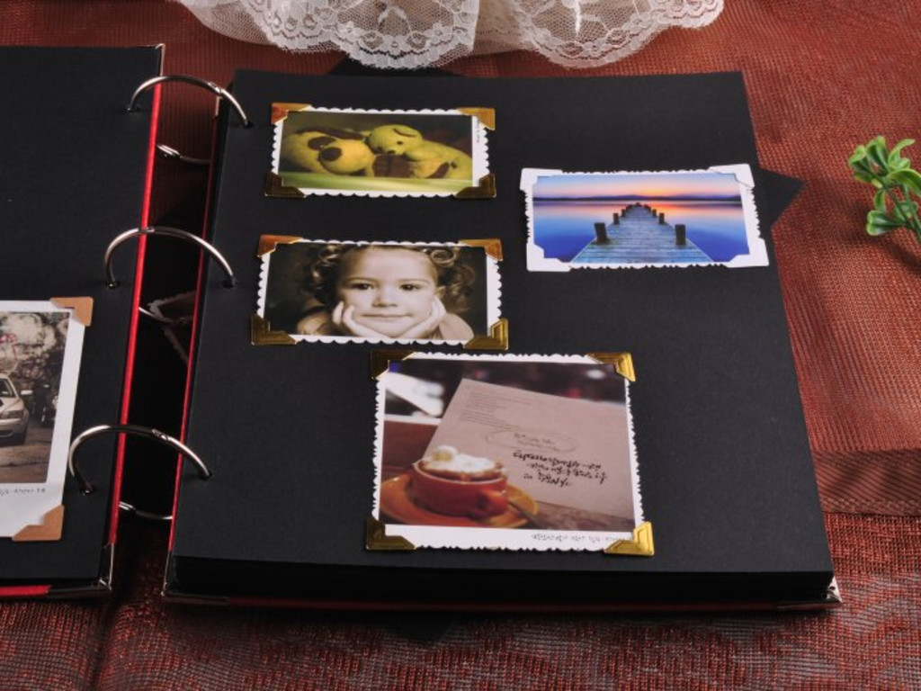 Photo Album Pre Orders Indiegogo