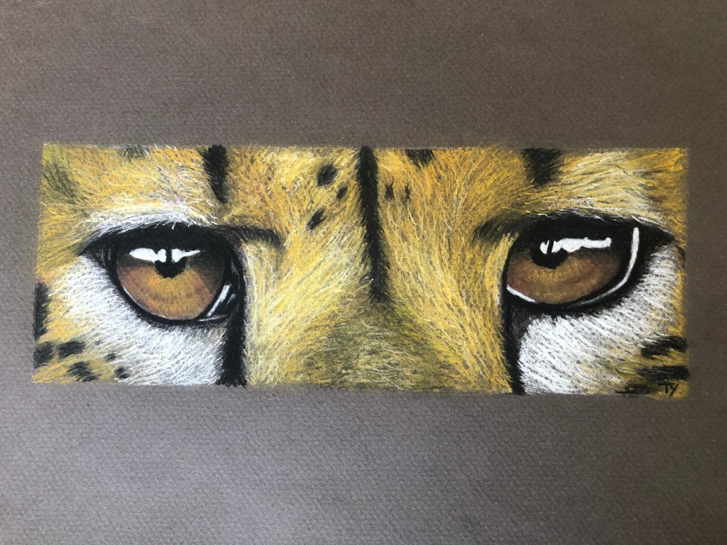 Pastel Art Supplies Indiegogo