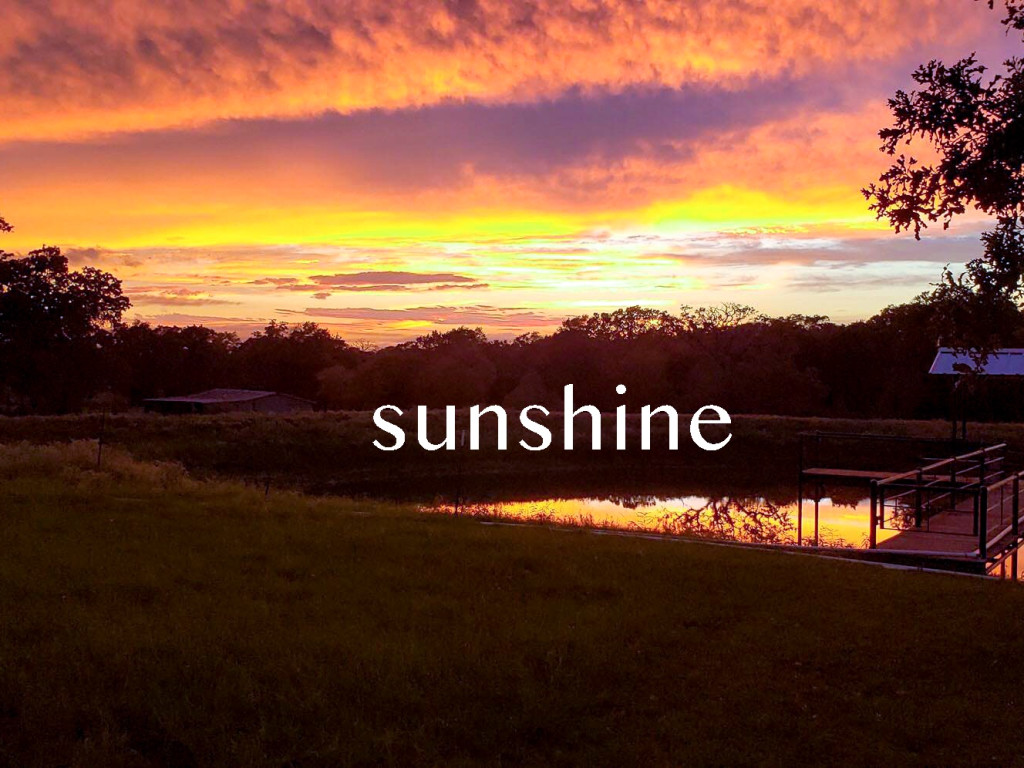 Sunshine - A Short Film | Indiegogo