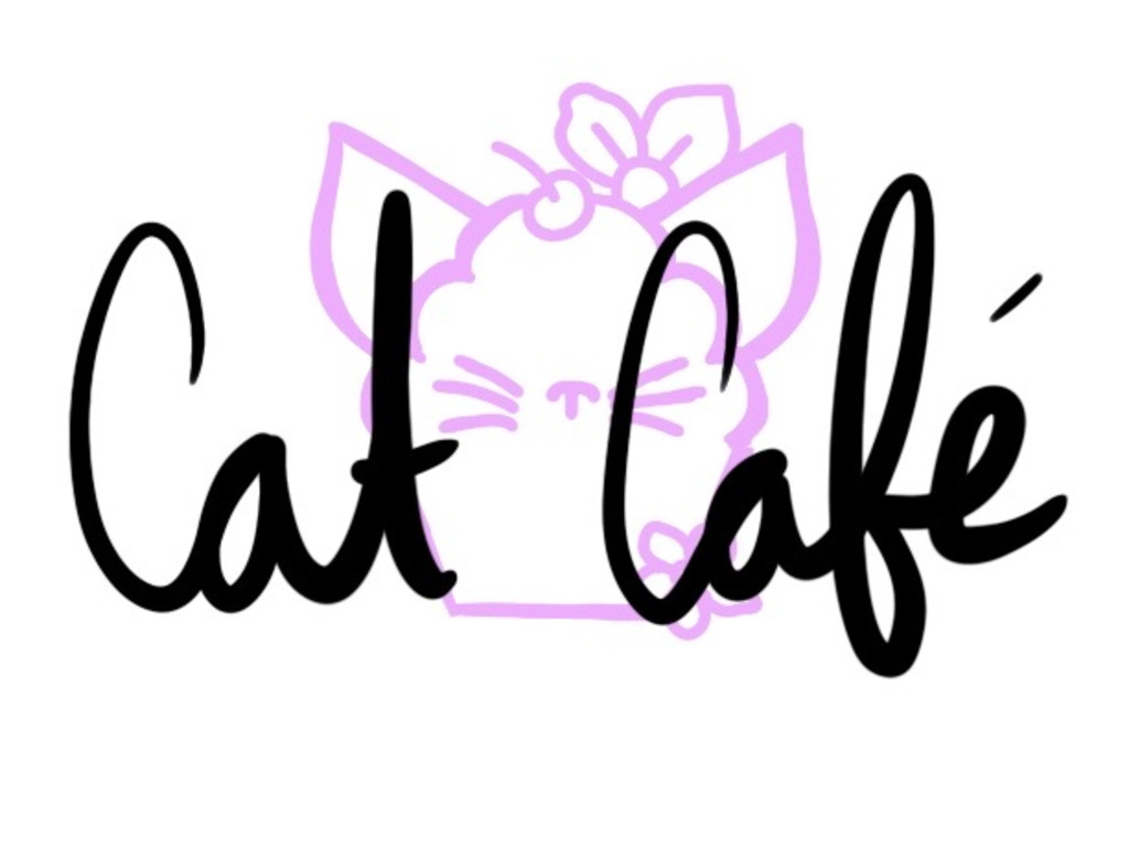 Help bring a Cat Cafe to the Lehigh Valley! Indiegogo