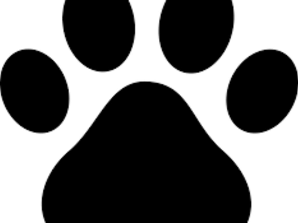 4 Indiegogo 4 Indiegogo