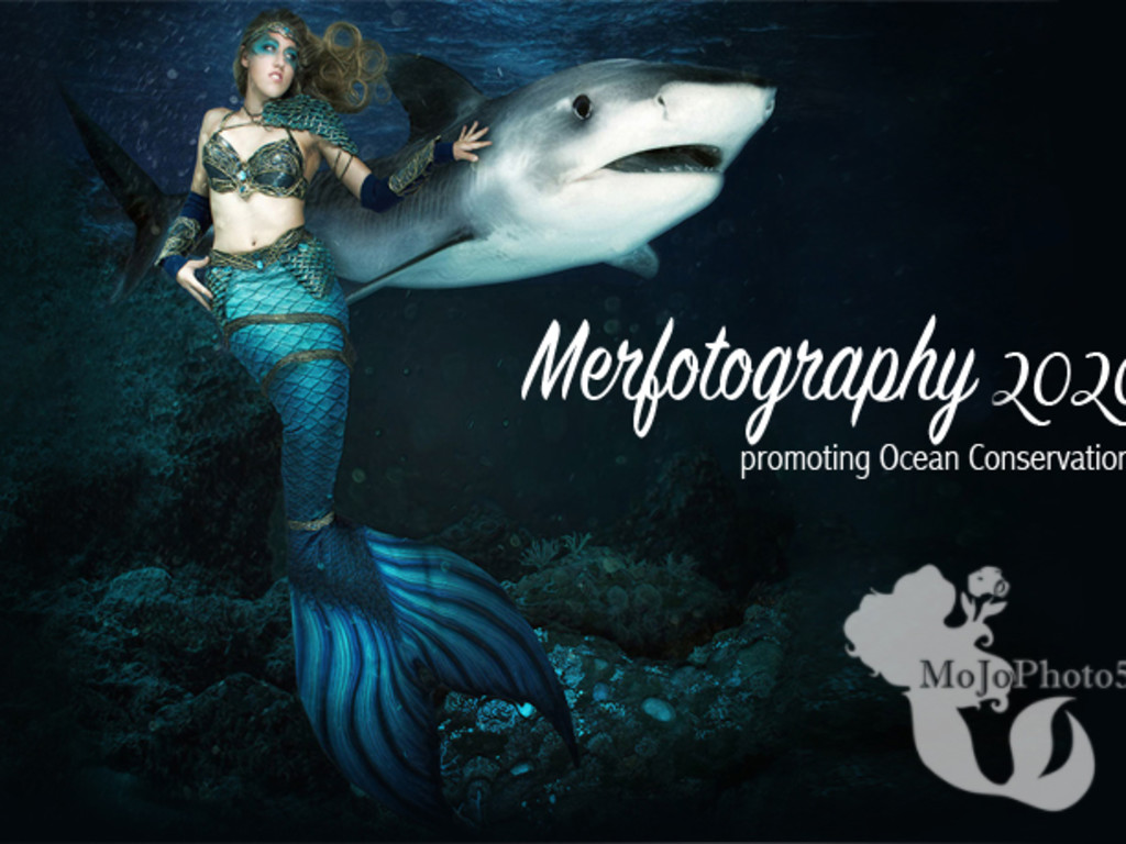 2020 Mermaid Calendar to Help Ocean Conservation | Indiegogo