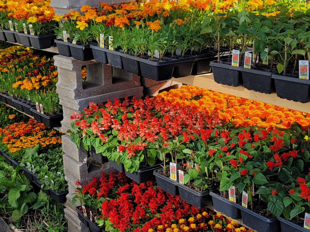 Martin's Greenhouse Expansion Indiegogo