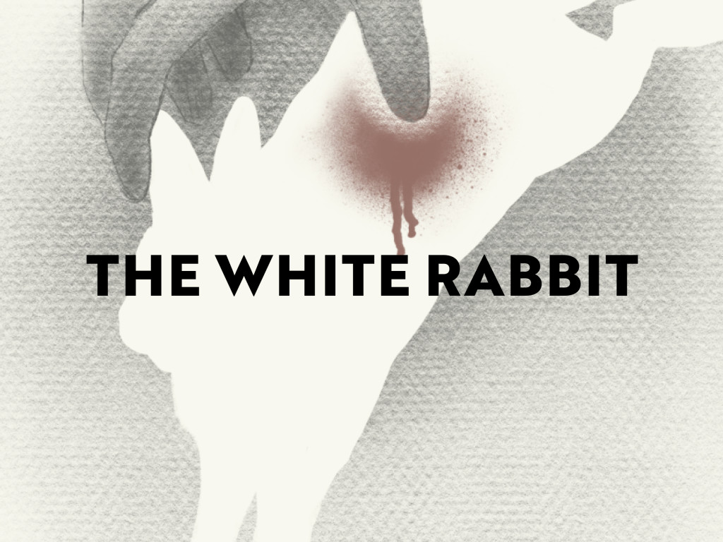 The White Rabbit Short Film Indiegogo