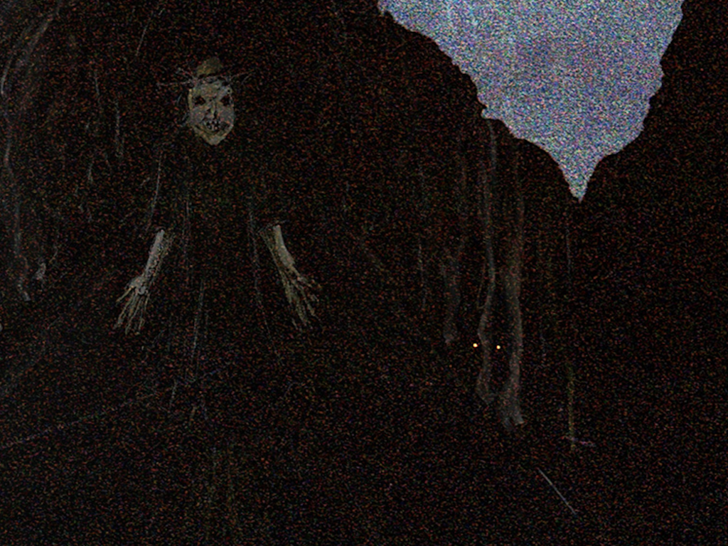 Of Night and Wind Short Film Indiegogo