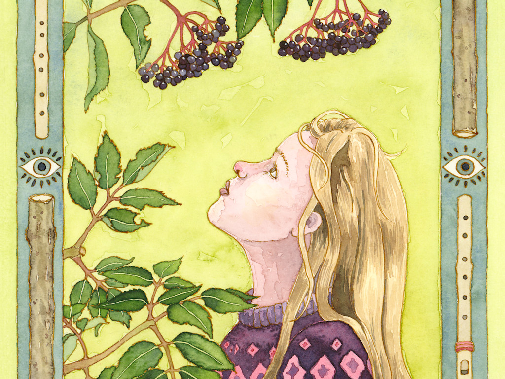 I Wrote A Book The Girl Whose Garden Comes Alive Indiegogo i-wrote-a-book-the-girl-whose-garden-comes-alive-indiegogo