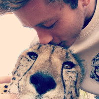 Keep Harry the cheetah handler in South Africa