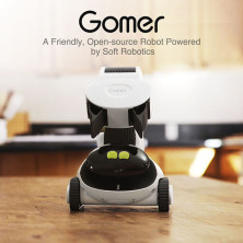 gomer robot amazon