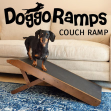 indiegogo dog ramp