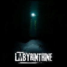 Labyrinthine Indiegogo