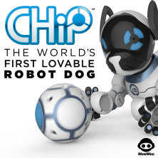 chip the lovable robot dog