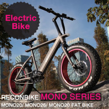 mono electric bike