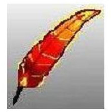 Fund the Brush Fire Forum