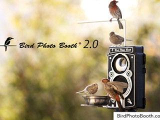 Bird Photo Booth 2 0 Bird Feeder Bird Cam Combo Indiegogo