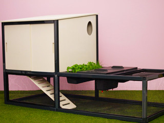 POC POC Urban Chicken Coop  Indiegogo