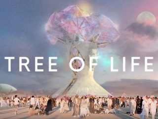 Image result for picture of 2018 burning man tree of life