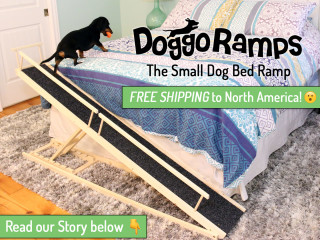 best dog ramp best dog ramp