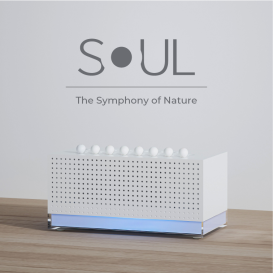 SOUL- The Symphony of Nature