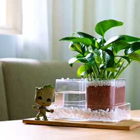 Plant Hero: no more sad plants!