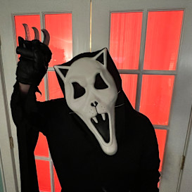 SCREAMWALKERS
