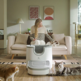Furoomate: Open-Top Litter Box for Any Size Cat
