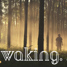 Waking