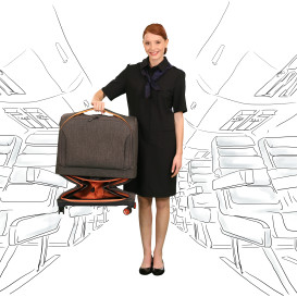 Rollux: The Most Versatile 2-in-1 Suitcase Around