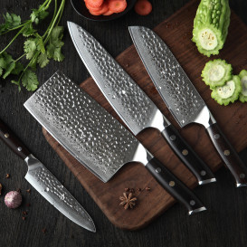 Chef's Collection Premium Kitchen Knives