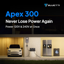 Apex 300
