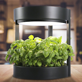 Verdeat - Your personalized home garden